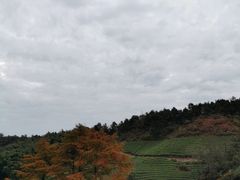 -丹山赤水风景名胜区