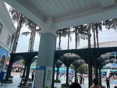 -海合安成都极地海洋公园