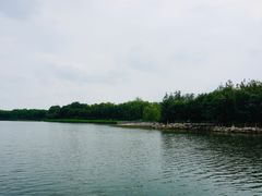 -大兴滨河森林公园