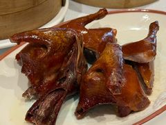 -新雅粤菜馆(南京东路店)