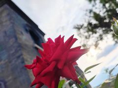 -张学良旧居陈列馆(大帅府)