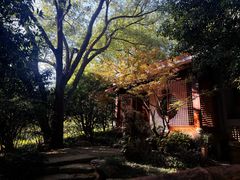 -中国茶叶博物馆(双峰馆区)