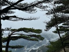 -黄山风景区