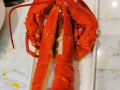 -半岛听涛蒸汽海鲜自助(K11店)