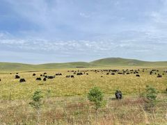 -厨神老街兔·淳朴人家店(盐帮菜风味名店)