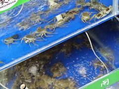 -阳澄湖大闸蟹·琼灵阁牌品牌连锁(吴中总店)