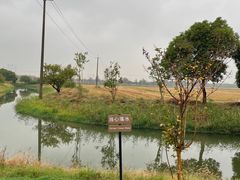 -嘉北郊野公园