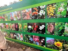 -中国科学院西双版纳热带植物园