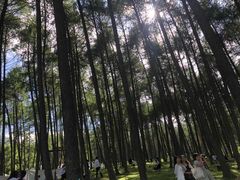 -硗碛藏寨·神木垒景区