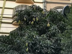 -珍记海鲜粥·海鲜粉