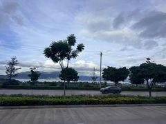 -璞真扎染博物馆