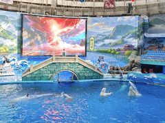 -海合安成都极地海洋公园