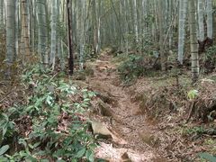 -鸡枕山