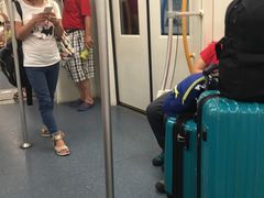 -杨高南路(地铁站)