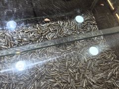 -刘艳明炒货(小心桥店)