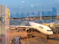 -德国汉莎航空公司