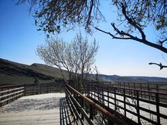 -新疆天山野生动物园