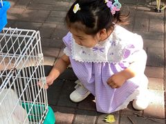 -大象厨房(重庆道店)