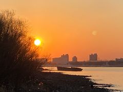 -上海滨江森林公园