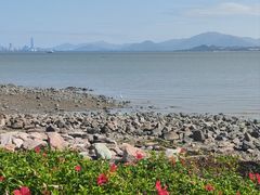 -深圳湾公园(南山区)