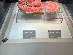 -安徽省地质博物馆