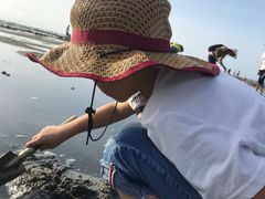 -北海金海湾红树林生态旅游区