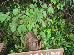 -白草畔自然风景区