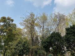 -成都市活水公园