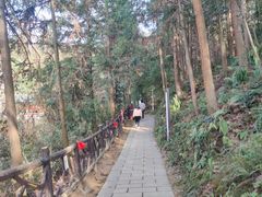 -酒仙湖景区