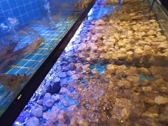 -透明思烤·自助烤肉海鲜火锅(东部星悦天地店)