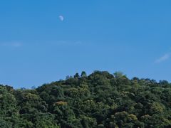 -火炉山森林公园