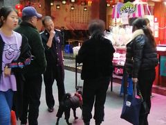 -关东古巷