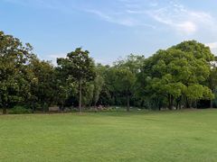 -上海滨江森林公园