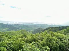 -莫干山风景区