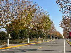 -同济大学(嘉定校区)