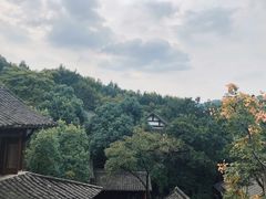 -中国茶叶博物馆(双峰馆区)