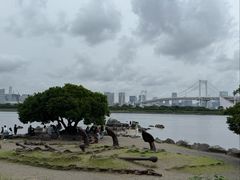 -台场海滨公园船码头