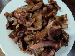 -菌之家·专业纯野生菌火锅·特色炒菌