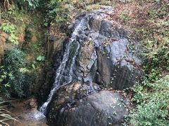 -瓷天下海丝谷
