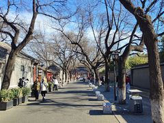-北京国子监胡同