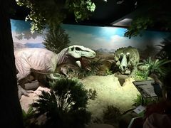 -国家自然博物馆