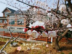 -大连北马山庄
