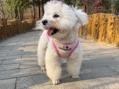 -白水寺森林公园
