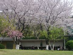 -昆山城市公园