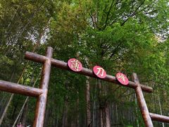 -罗田薄刀峰风景区