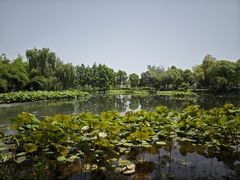 -金银湖国家城市湿地公园