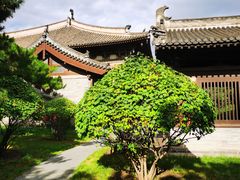 -善化寺