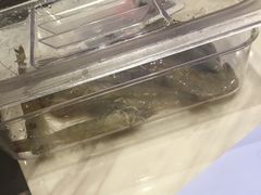 -阿锋鲍鱼酒家美食汇(华安店)