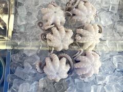 -铭聚章鱼土笋冻(松柏店)