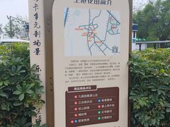 -空港花田景区